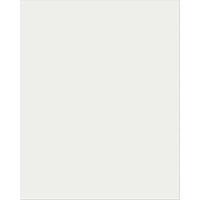Plastic, 28" X 22" 25 / Pack White Pacon Plastic Poster Board 